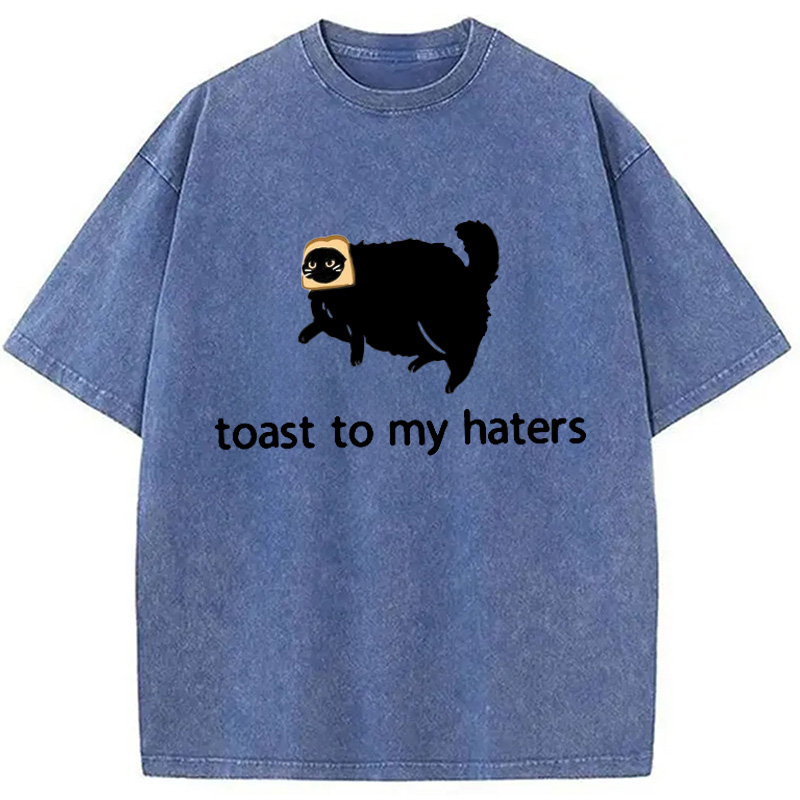 Modecanvas Toast To My Haters Washed T-Shirt