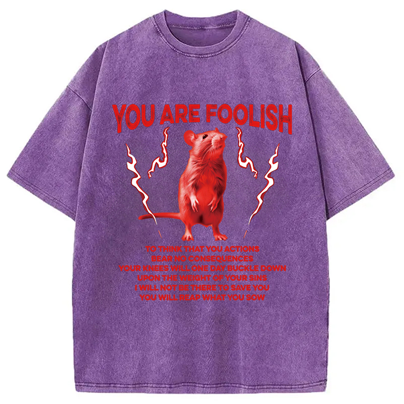 Modecanvas You Are Foolish Rat DTG Printing Washed T-Shirt