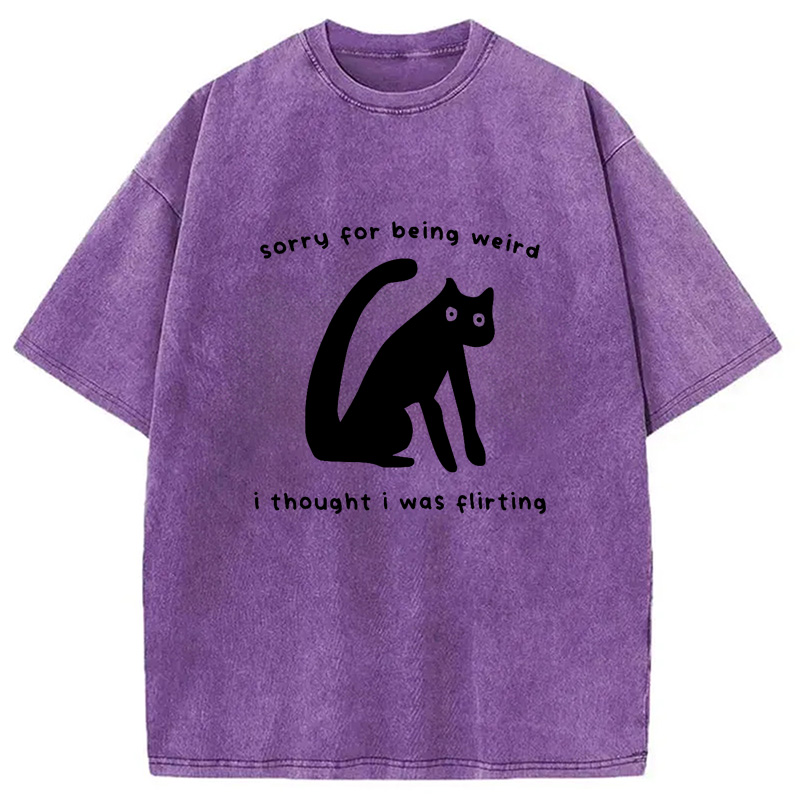 Modecanvas Sorry For Being Weird Washed T-Shirt