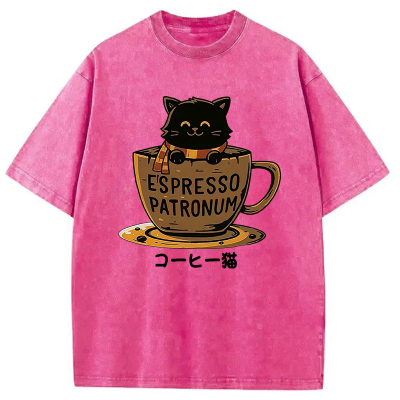 Modecanvas Cat In A Coffee Cup Washed T-Shirt