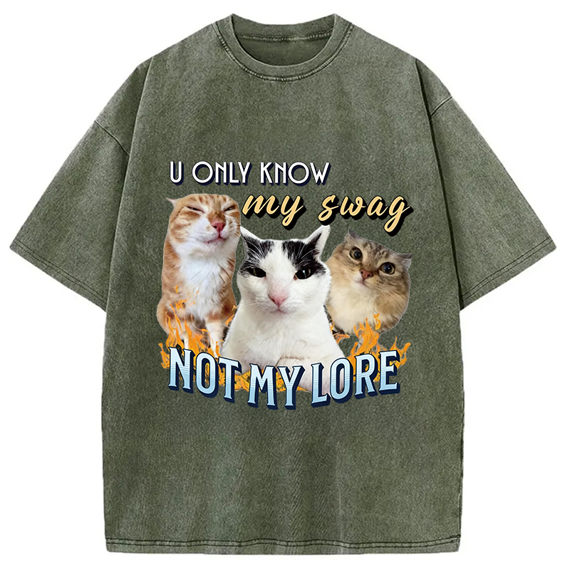 Modecanvas Funny Y2K Cat Meme DTG Printing Washed T-Shirt