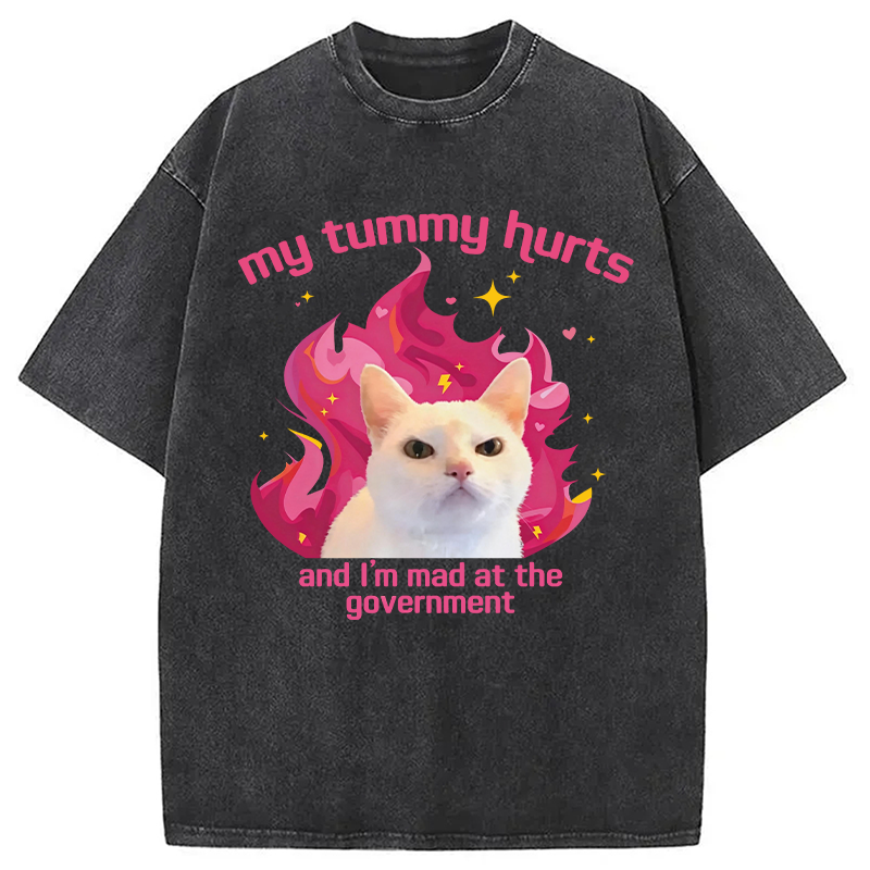 Modecanvas My Tummy Hurts Funny Cat Meme DTG Printing Washed T-Shirt