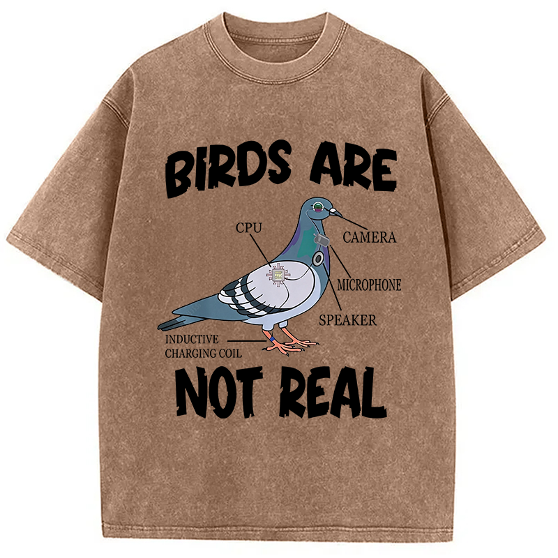 Modecanvas Pigeon Birds Are Not Real Funny DTG Printing Washed T-Shirt