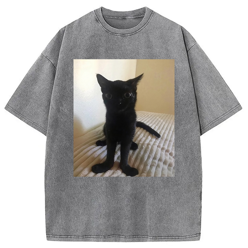Modecanvas Big Foot Jinx Black Cat Washed T-Shirt