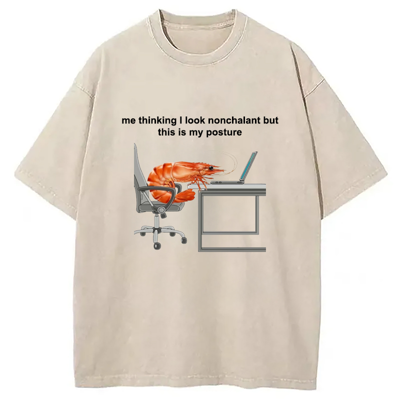 Modecanvas This Is My Posture Washed T-Shirt