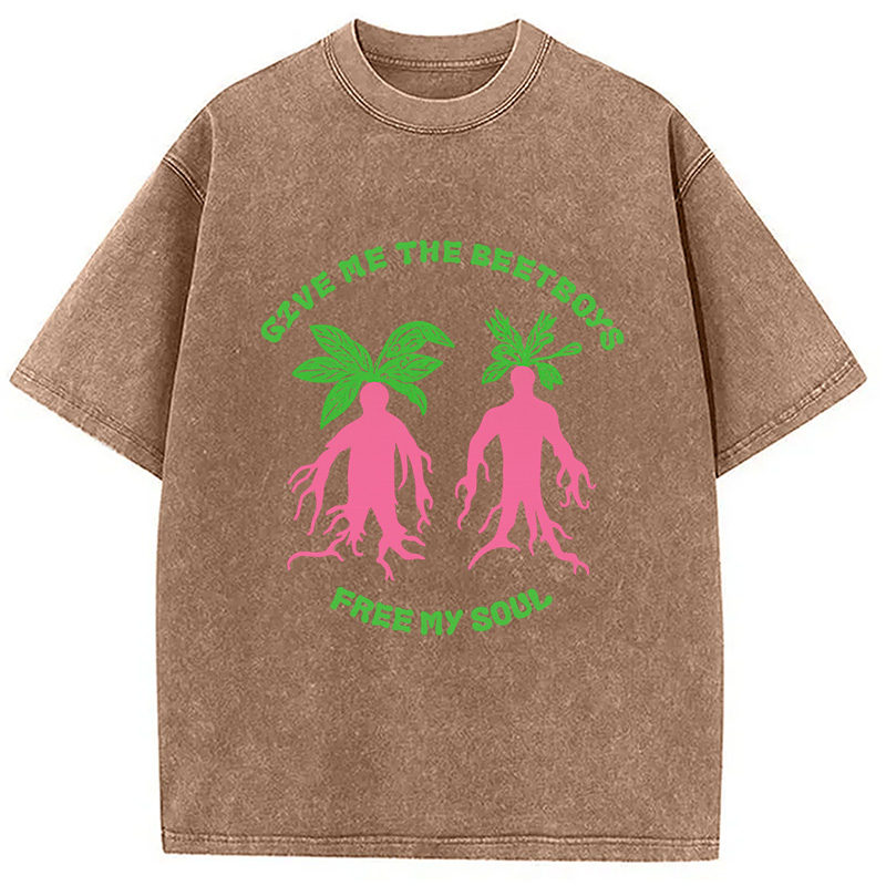 Modecanvas Give Me The Beetboys Washed T-Shirt