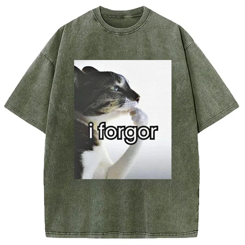 Modecanvas I Forgor Cat Meme Washed T-Shirt