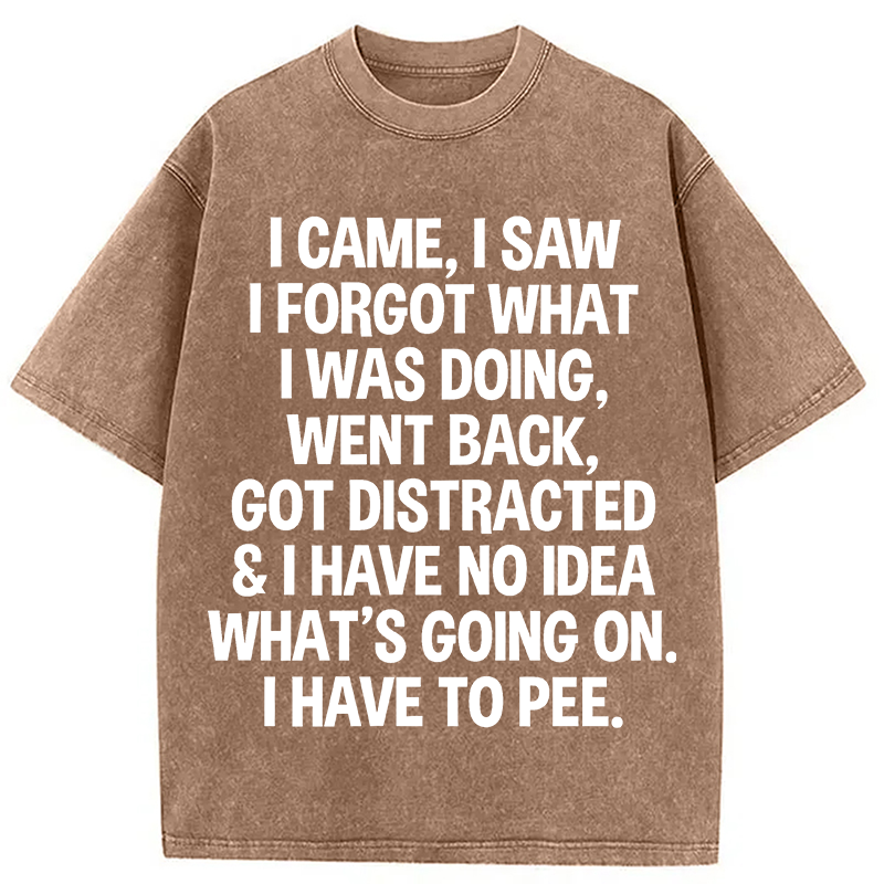 Modecanvas I Came I Saw I Forgot What I Was Doing DTG Printing Washed T-Shirt