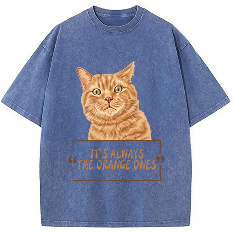 Modecanvas It Always Cat Meme DTG Printing Washed T-Shirt