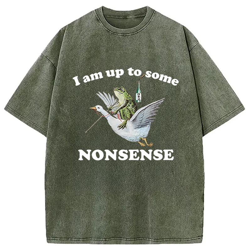 Modecanvas Frog Riding A Goose Washed T-Shirt