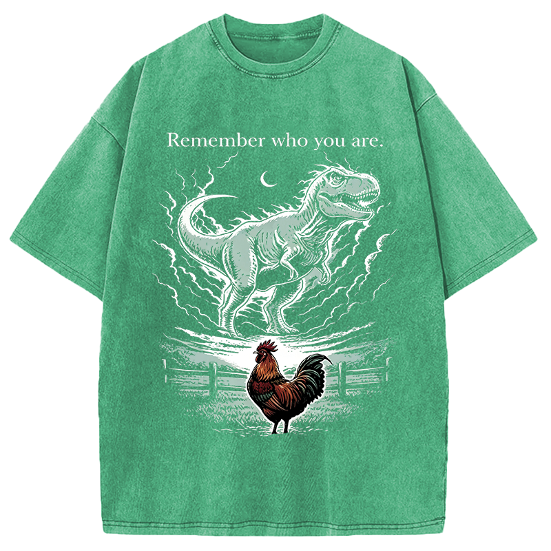 Modecanvas Remember Who You Are DTG Printing Washed T-Shirt