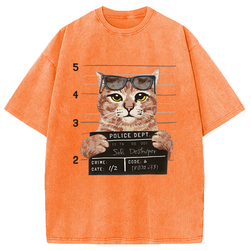 Modecanvas Cat Holding Mugshot Arrested Washed T-Shirt