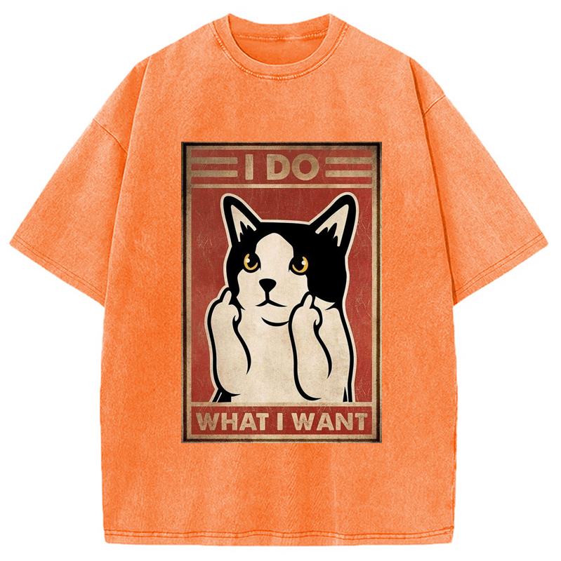 Modecanvas What I What Washed T-Shirt