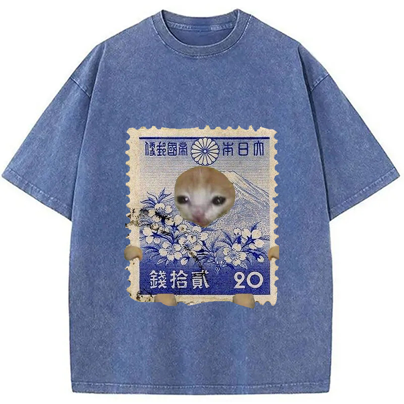 Modecanvas Ukiyo-e Cat Meme Washed T-Shirt
