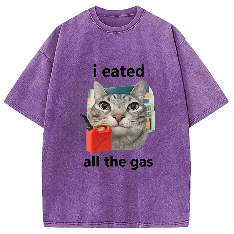 Modecanvas I Eated All The Gas Cat Funny Washed T-Shirt-modecanvas