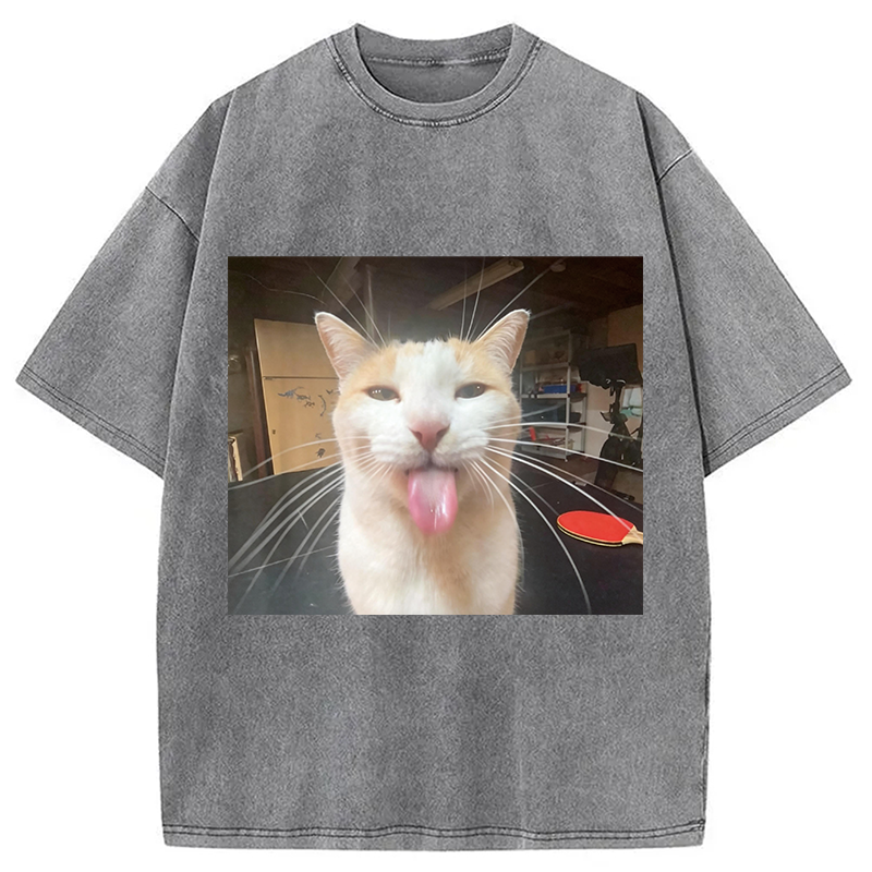 Modecanvas Silly Bleh Funny Cat Meme DTG Printing Washed T-Shirt