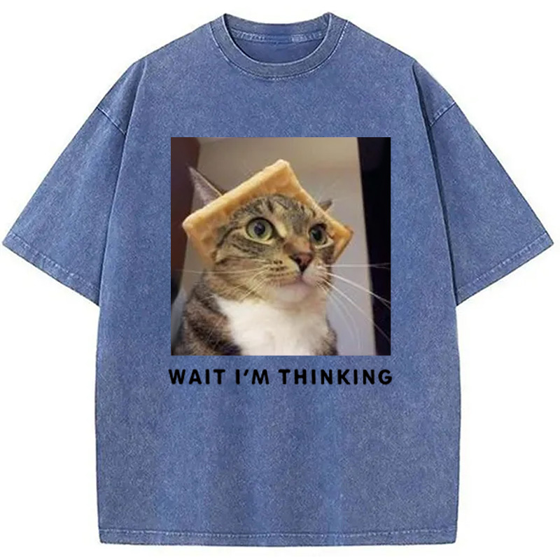 Modecanvas Wait Im Thinking Meme Washed T-Shirt