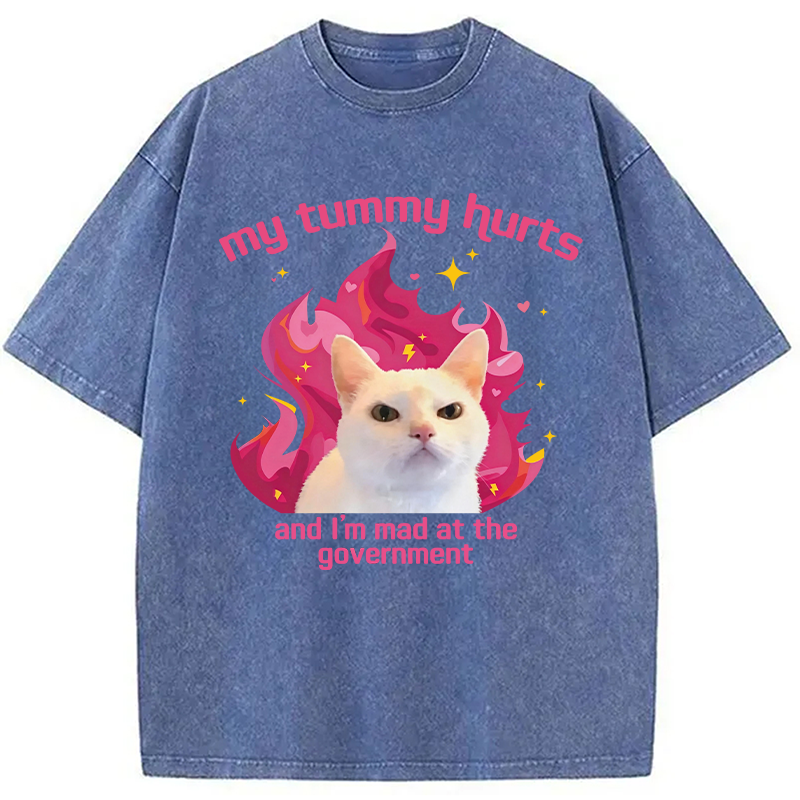 Modecanvas My Tummy Hurts Funny Cat Meme DTG Printing Washed T-Shirt