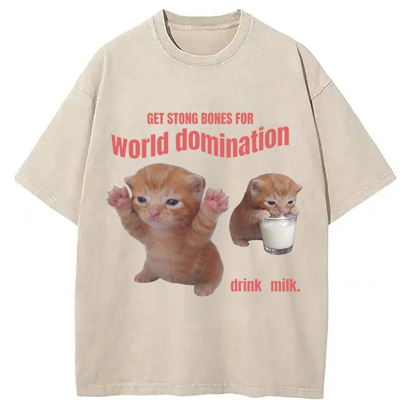 Modecanvas World Domination Cat Meme DTG Printing Washed T-Shirt