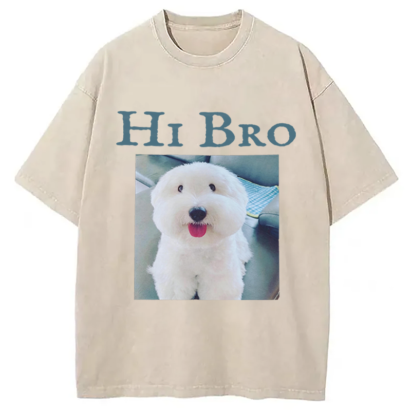 Modecanvas Hi Bro Dog Meme DTG Printing Washed T-Shirt