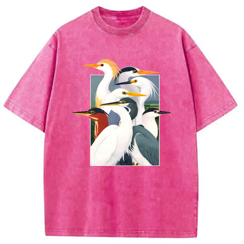 Modecanvas Wetland Assembly DTG Printing Washed T-Shirt