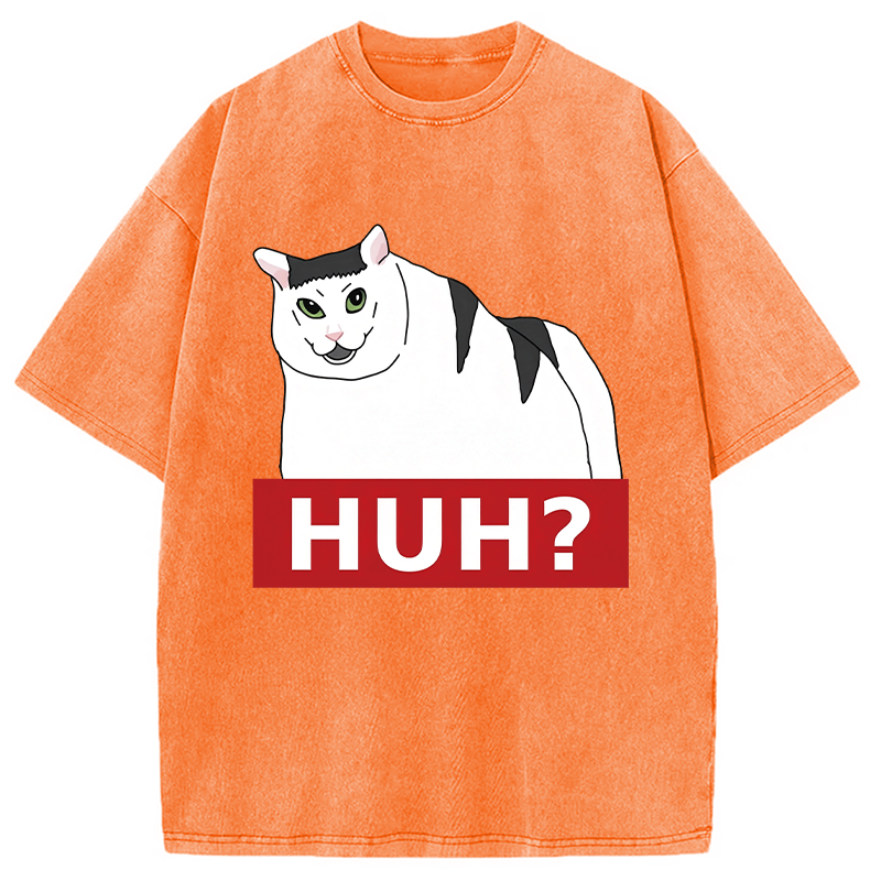 Modecanvas Huh Cat Meme DTG Printing Washed T-Shirt