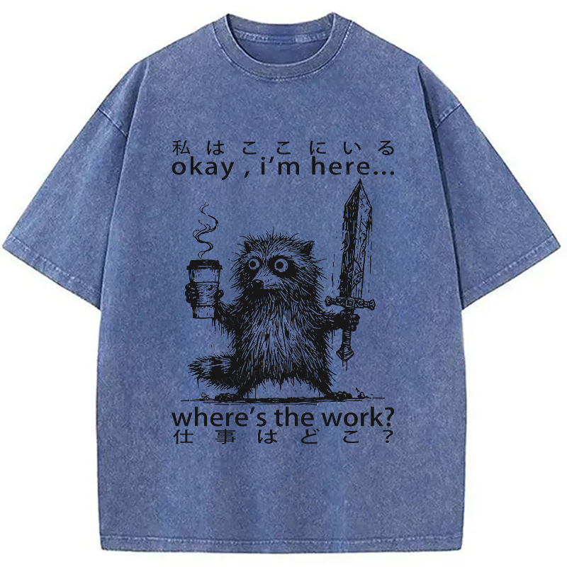 Modecanvas Raccoon Ready To Work Washed T-Shirt