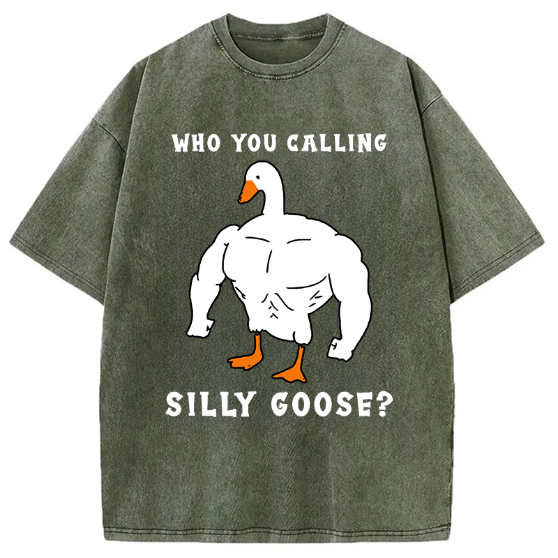 Modecanvas Who You Calling Silly Goose Funny Gym Meme Washed T-Shirt