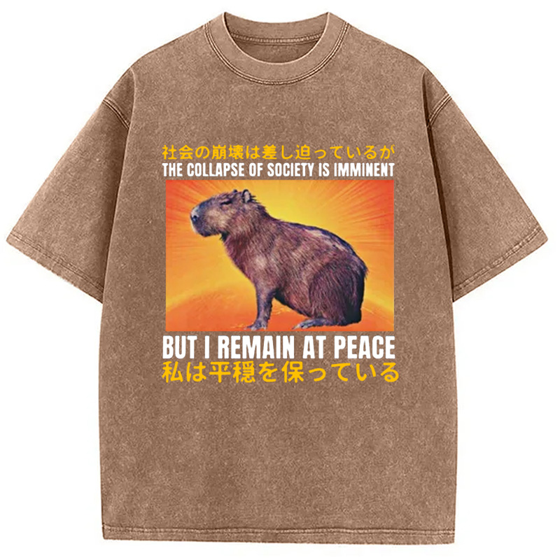Modecanvas The Collapse of Society is Imminent Washed T-Shirt