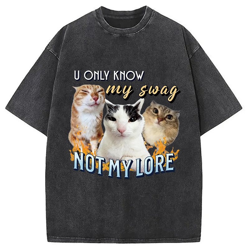 Modecanvas Funny Y2K Cat Meme DTG Printing Washed T-Shirt