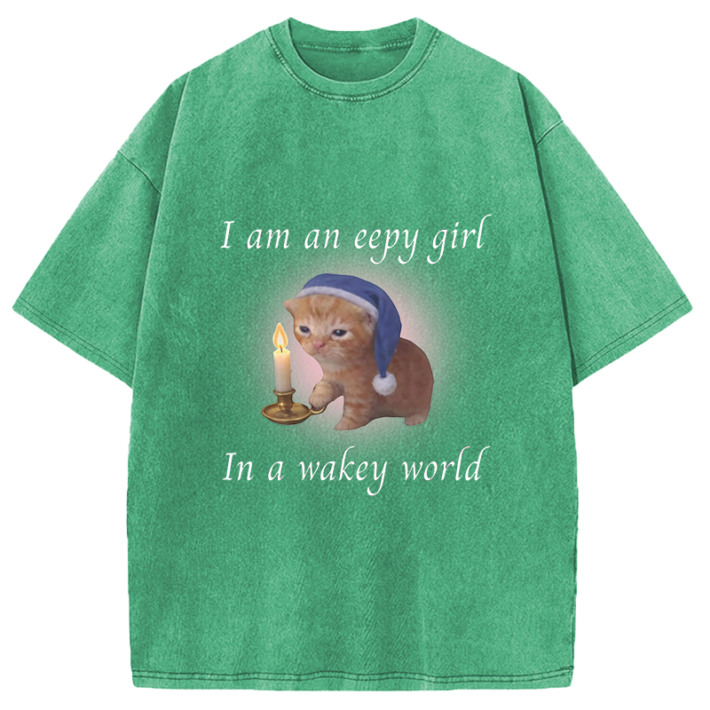 Modecanvas Eepy Girl Cat Meme DTG Printing Washed T-Shirt