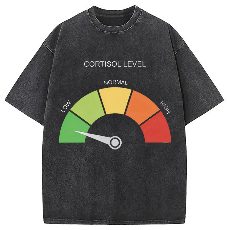 Modecanvas Cortisol Level Meme DTG Printing Washed T-Shirt