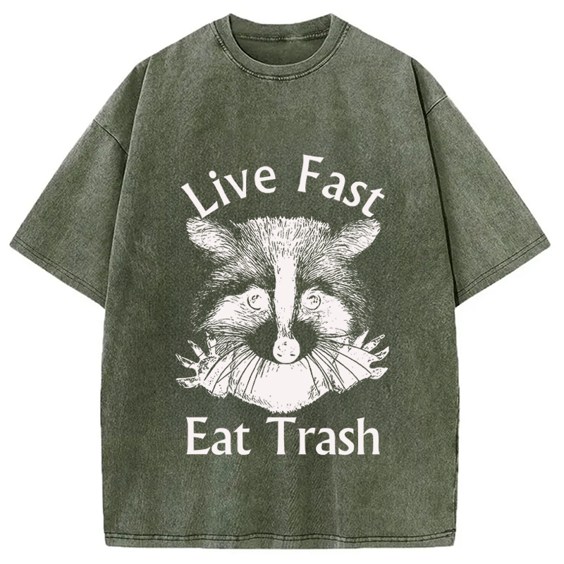Modecanvas Trash Panda Raccoon DTG Printing Washed T-Shirt