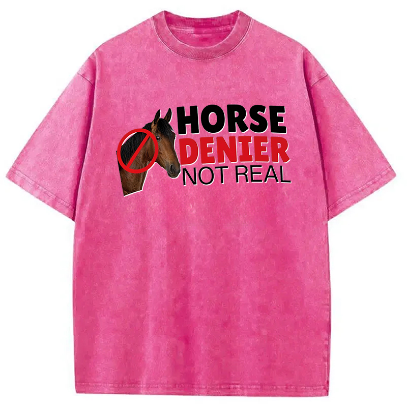 Modecanvas Horse Denier They Are Not Real DTG Printing Washed T-Shirt