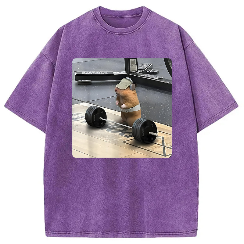 Modecanvas Funny Cute Rat Weightlifting Meme Washed T-Shirt-modecanvas