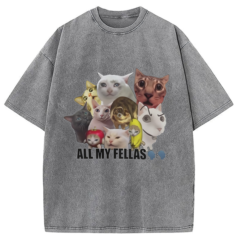 Modecanvas All My Fellas Internet Cats Meme Washed T-Shirt