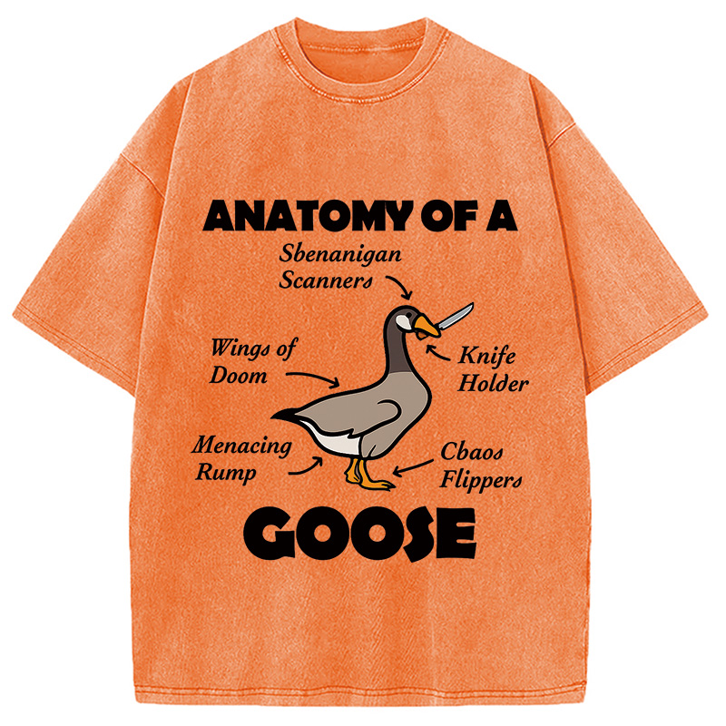 Modecanvas Anatomy of A Goose Washed T-Shirt