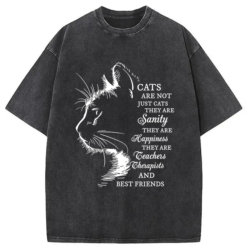 Modecanvas Cat Best Friend DTG Printing Washed T-Shirt