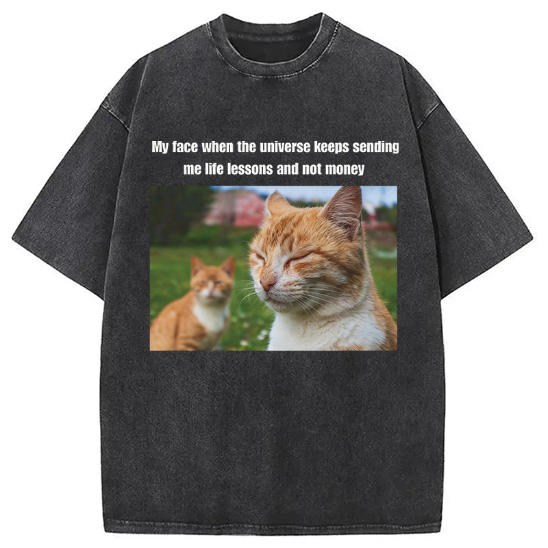 Modecanvas Grumpy Cat Meme DTG Printing Washed T-Shirt