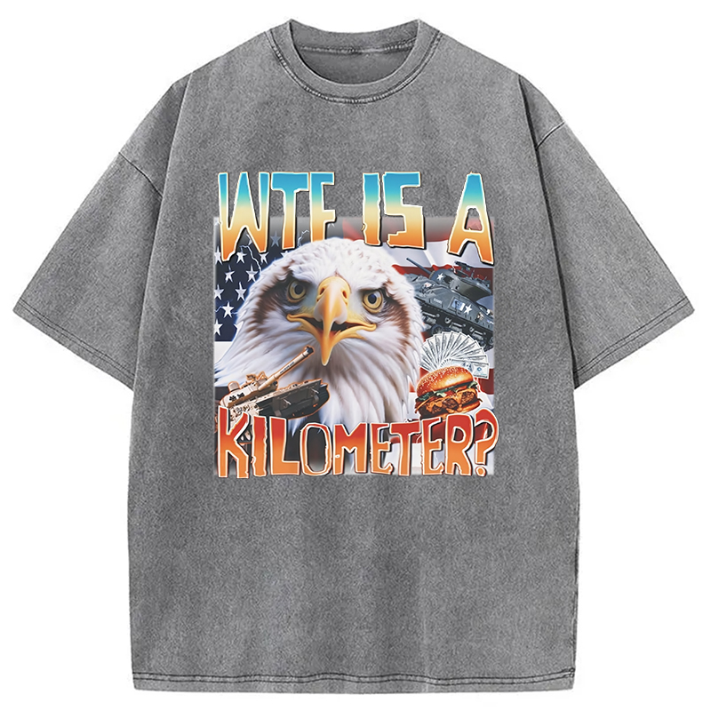 Modecanvas Funny America Freedom Eagle Meme Washed T-Shirt