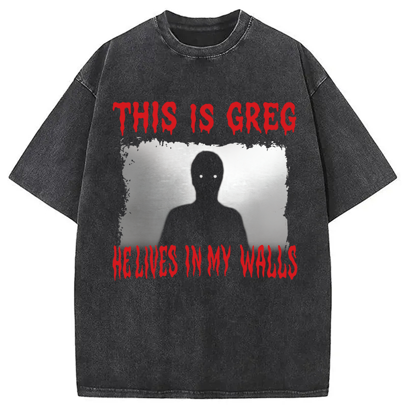 Modecanvas This Is Greg Funny Schizo Meme DTG Printing Washed T-Shirt-modecanvas