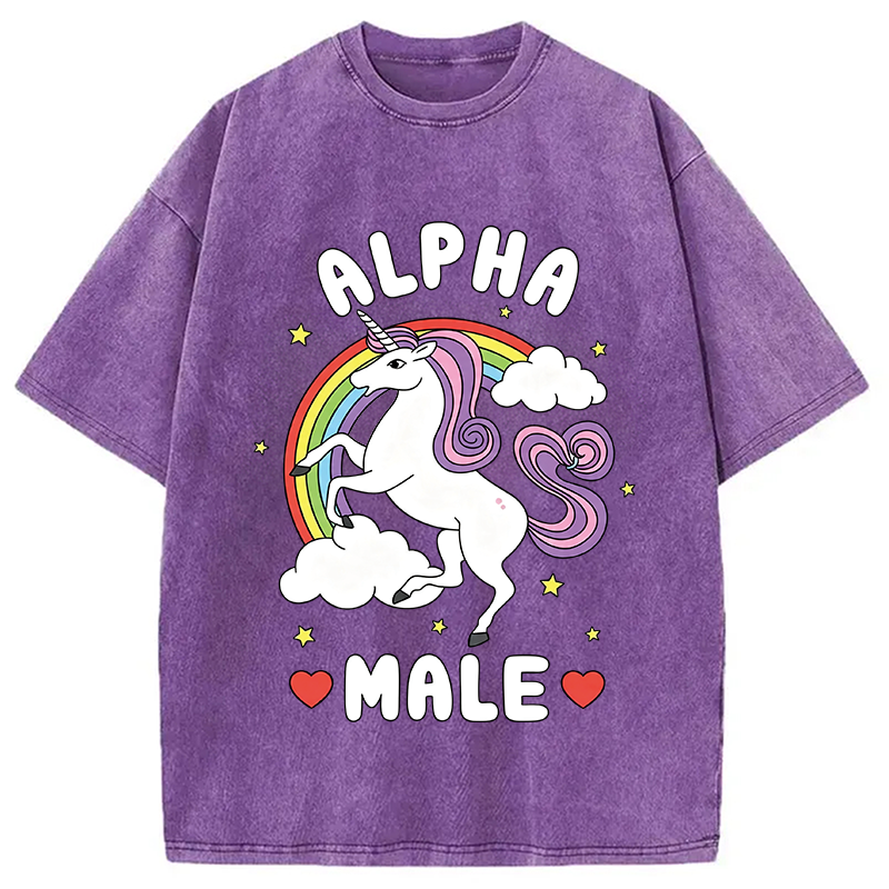 Modecanvas Alpha Male Energy Unicorn DTG Printing Washed T-Shirt