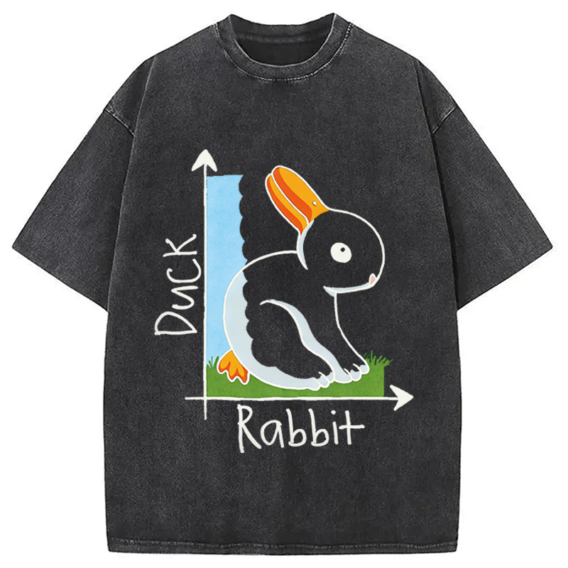 Modecanvas Duck Or Rabbit DTG Printing Washed T-Shirt