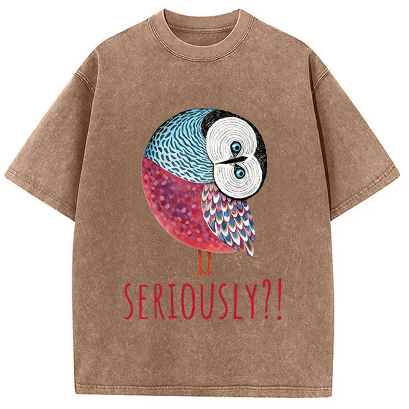 Modecanvas Seriously Art Owl DTG Printing Washed T-Shirt