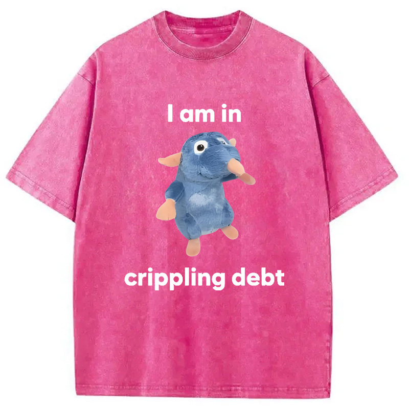 Modecanvas I Am in Crippling Debt Washed T-Shirt