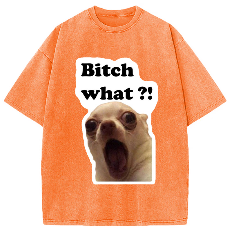 Modecanvas Funny Dog Face Meme Washed T-Shirt