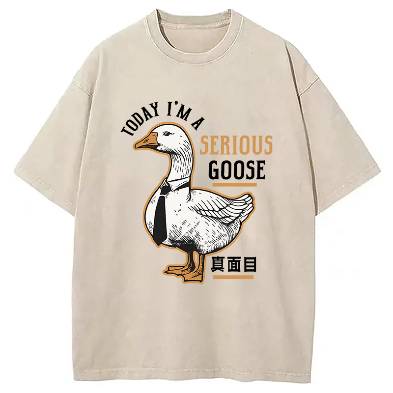 Modecanvas Japanese Serious Goose Washed T-Shirt
