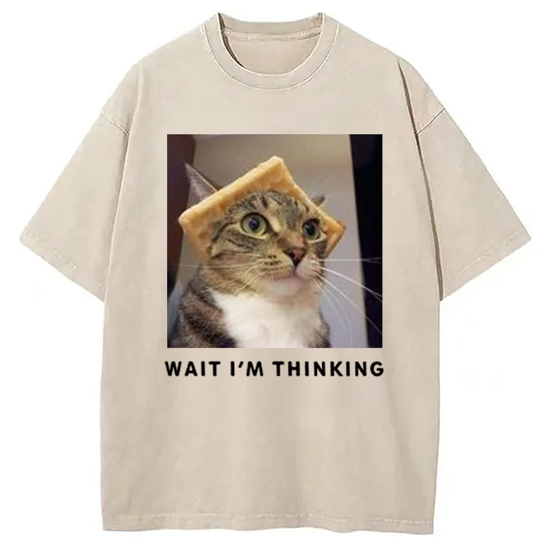 Modecanvas Wait Im Thinking Meme Washed T-Shirt