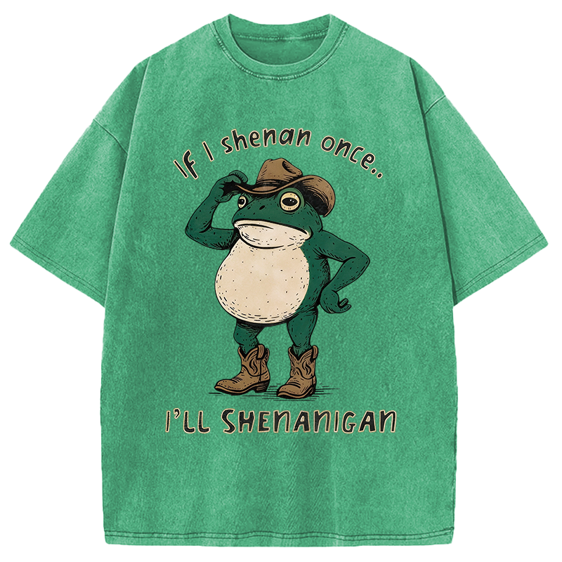 Modecanvas If I Shenan Once Funny Frog DTG Printing Washed T-Shirt