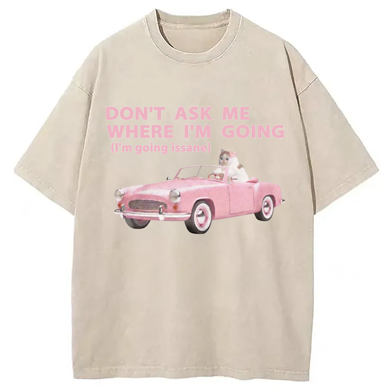 Modecanvas Im Going Insane Cat Meme DTG Printing Washed T-Shirt
